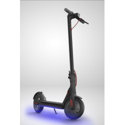 Trotinete Elétrica KraftMuller 350w